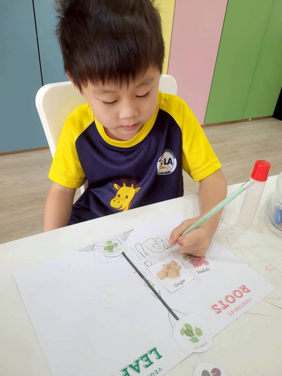 A student carefully completing a curriculum worksheet, matching vegetable picture cards to a hand-drawn diagram